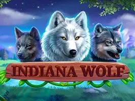 Indiana Wolf thumbnail